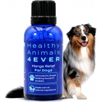  HA4E - Mange Relief for Dogs - Treatment for Itchiness, Scabs, & Hair Loss Caused by Mites - All-Natural, Homeopathic, Non-GMO, Organic, Gluten, Preservative & Chemical Free - 300 Tablets